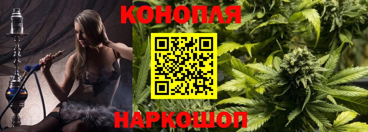 Марихуана план Ставрополь